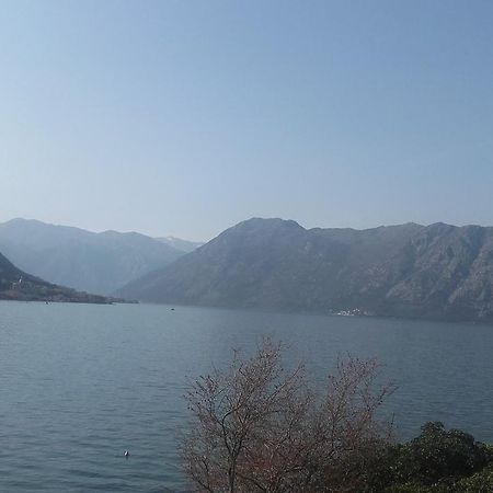 Appartement Melodia Del Mare 2 à Kotor Extérieur photo